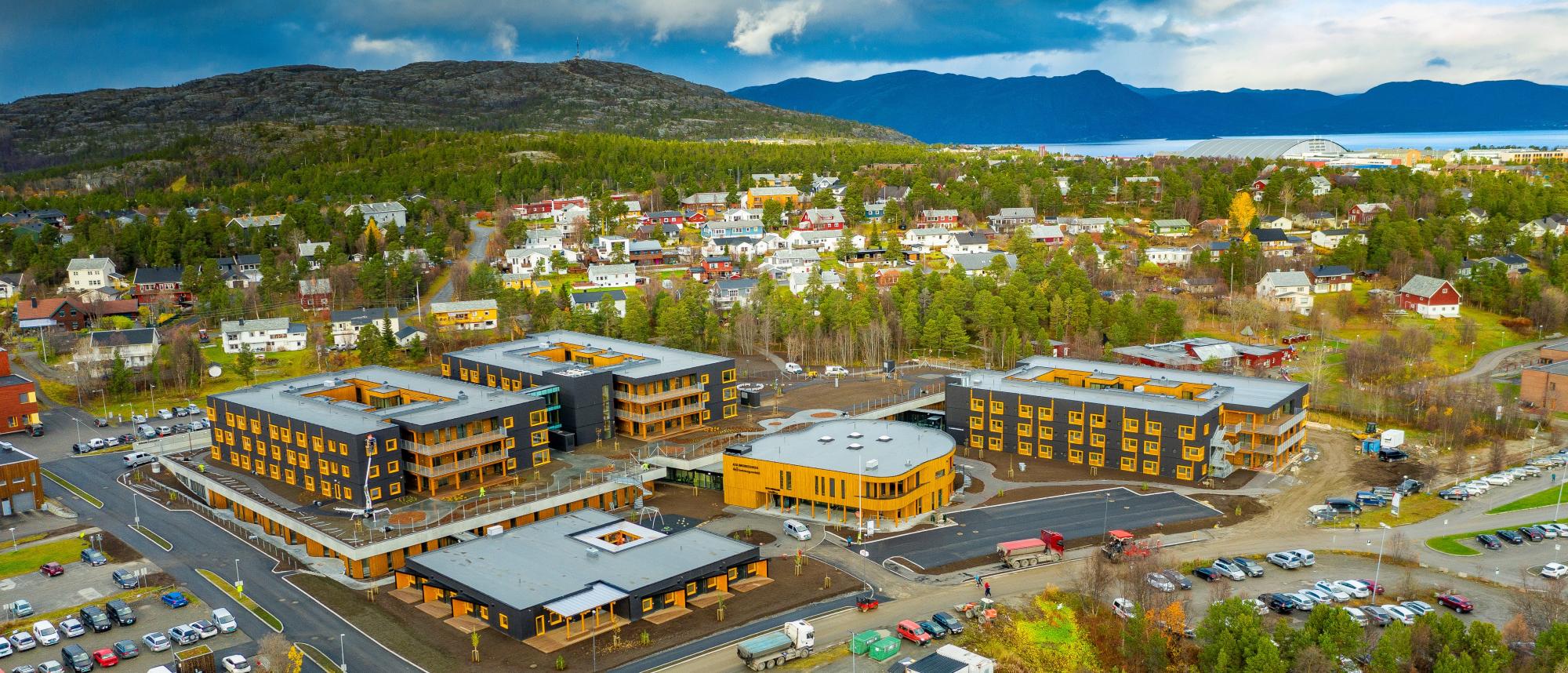 Put alternative text here : no