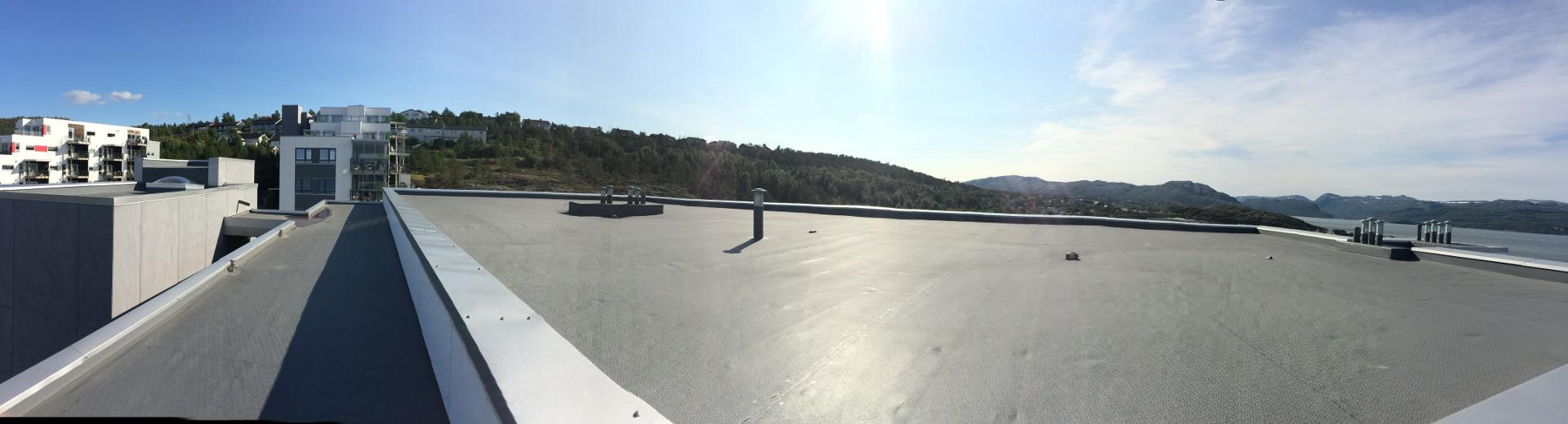 Put alternative text here : no